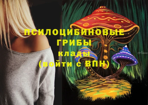 каннабис Богородицк