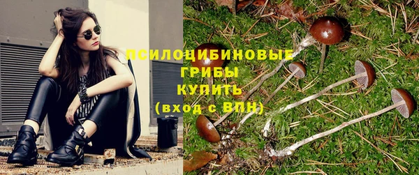 mdpv Богородск